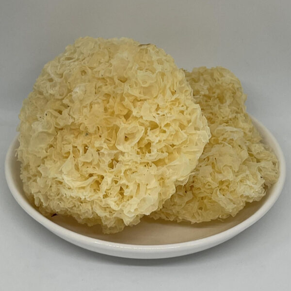 A plate of dried white fungus